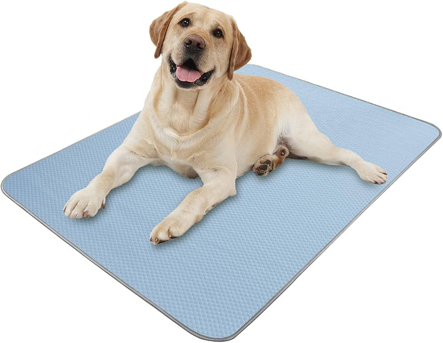BUILT AROUND COMPANION WELLNESS