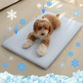 The Pet Pulse Cooling Pet Mat